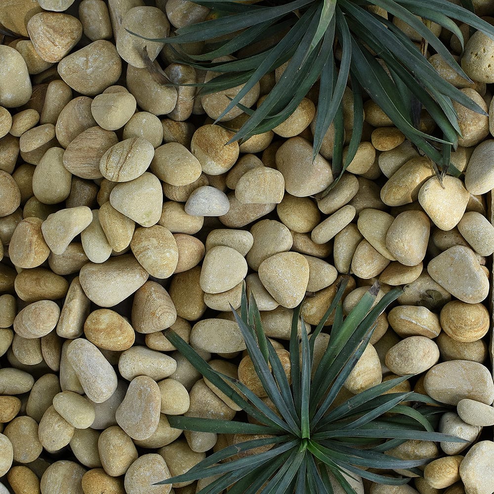 Decorative Teakwood Sandstone Pebbles 25-50mm Mix Size