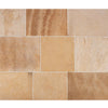 Burnt Sienna Antique Limestone Floor Tiles