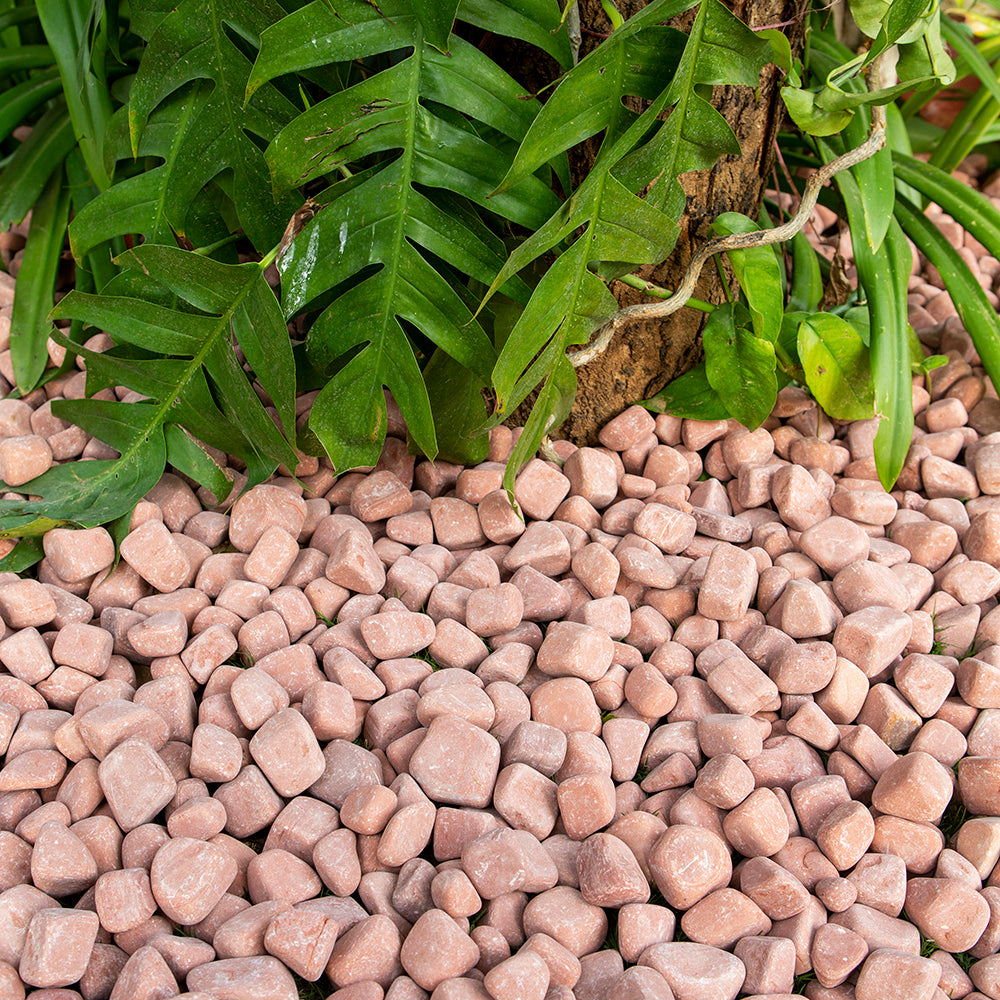 Sandstone Red Pebbles Cobble Stone 25-50mm Mix Size