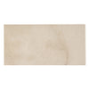 Oyster Shell Beige Polished Marble Floor Tiles